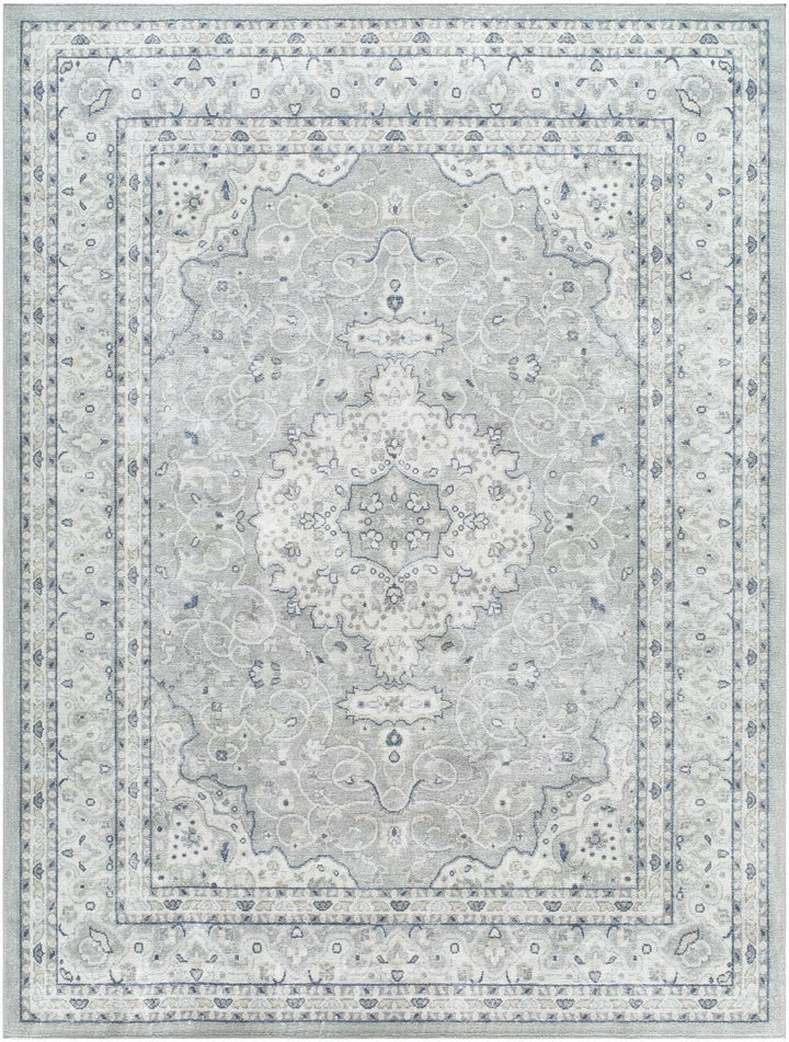 Farai Gray Traditional Medallion Design Rug - The Rug Decor