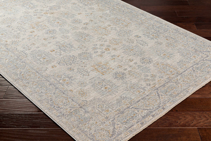 Fawn Traditional Style Beige And Gray Area Rug