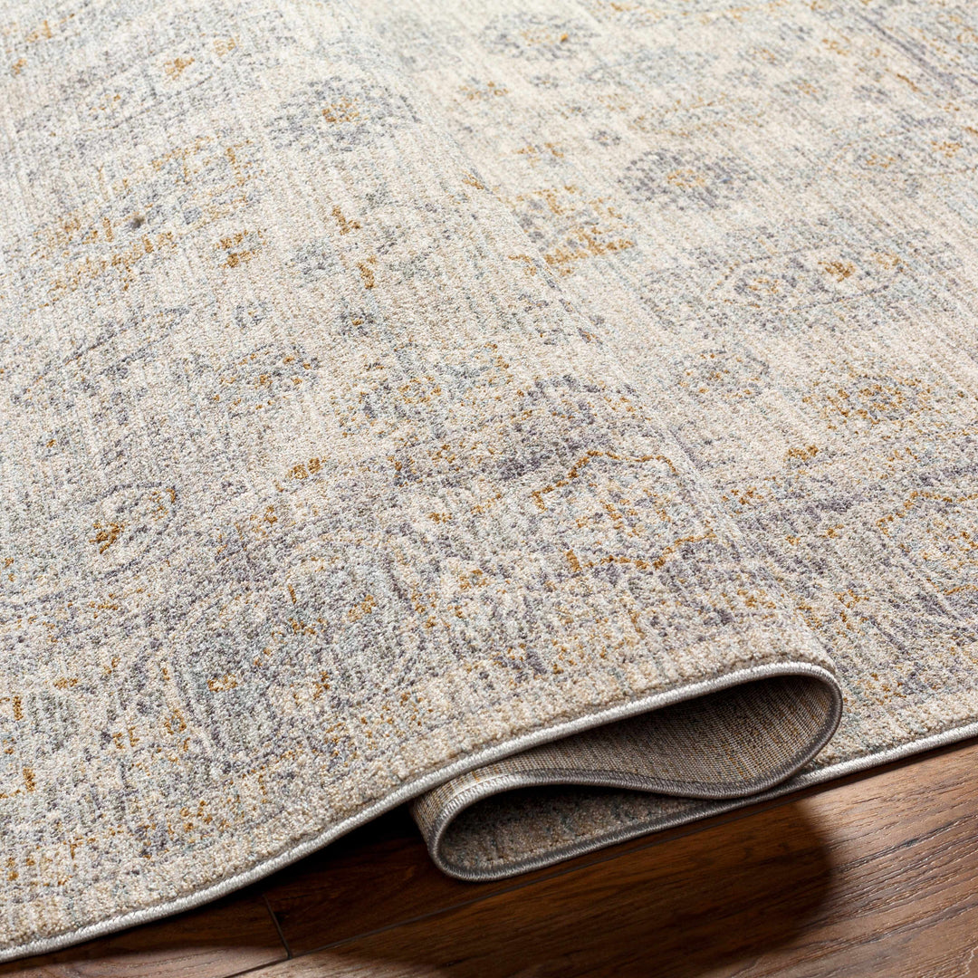 Fawn Traditional Style Beige And Gray Area Rug