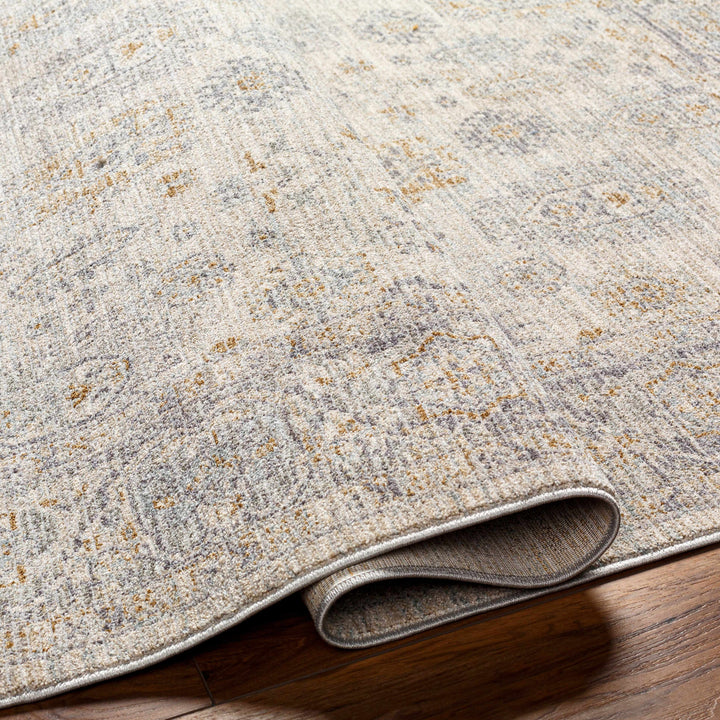 Fawn Traditional Style Beige And Gray Area Rug
