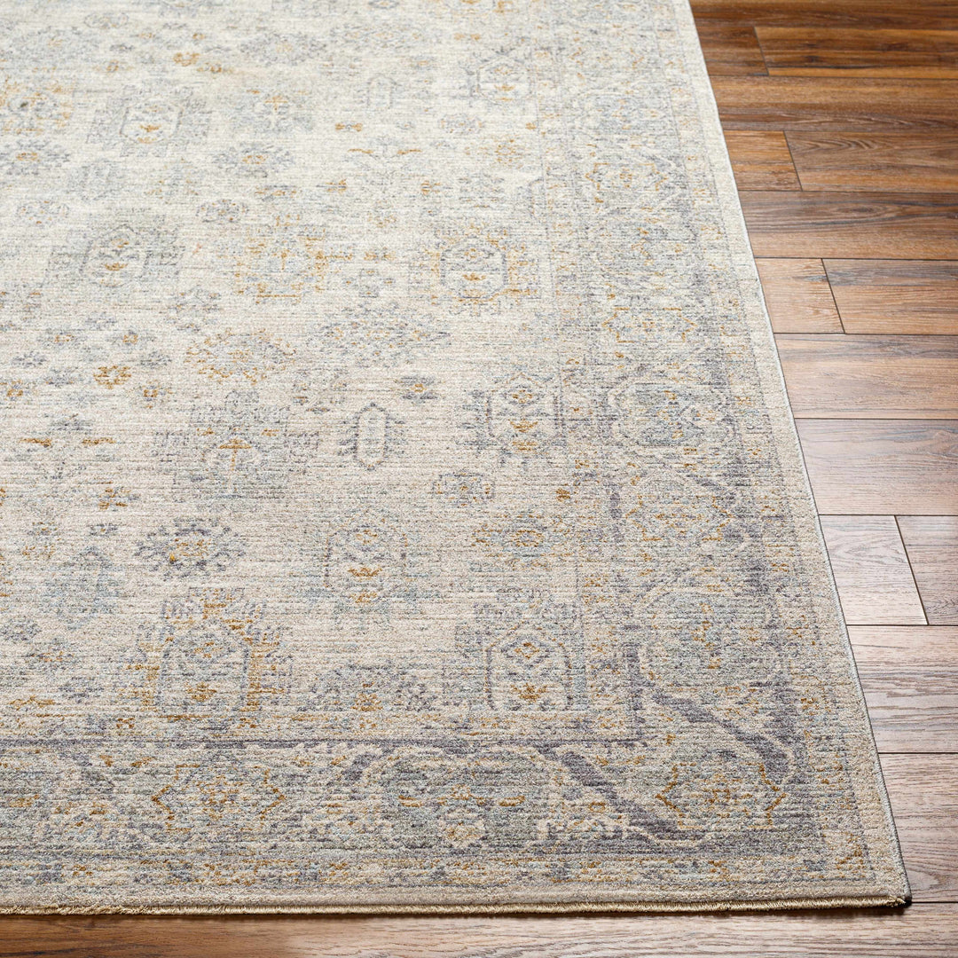 Fawn Traditional Style Beige And Gray Area Rug