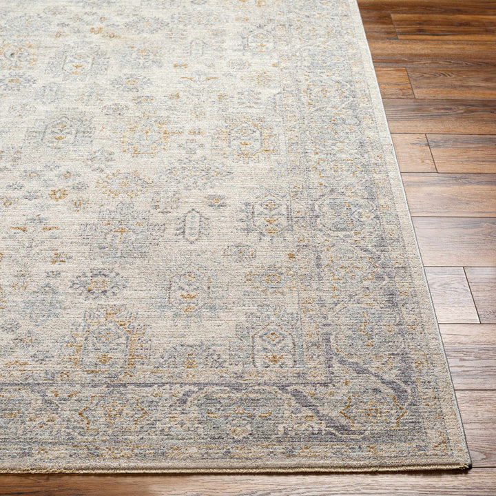 Fawn Traditional Style Beige And Gray Area Rug