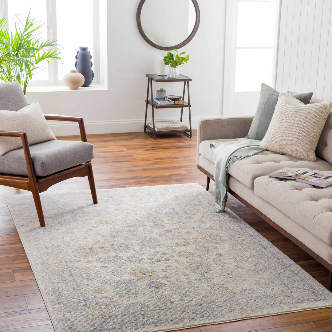 Fawn Traditional Style Beige And Gray Area Rug