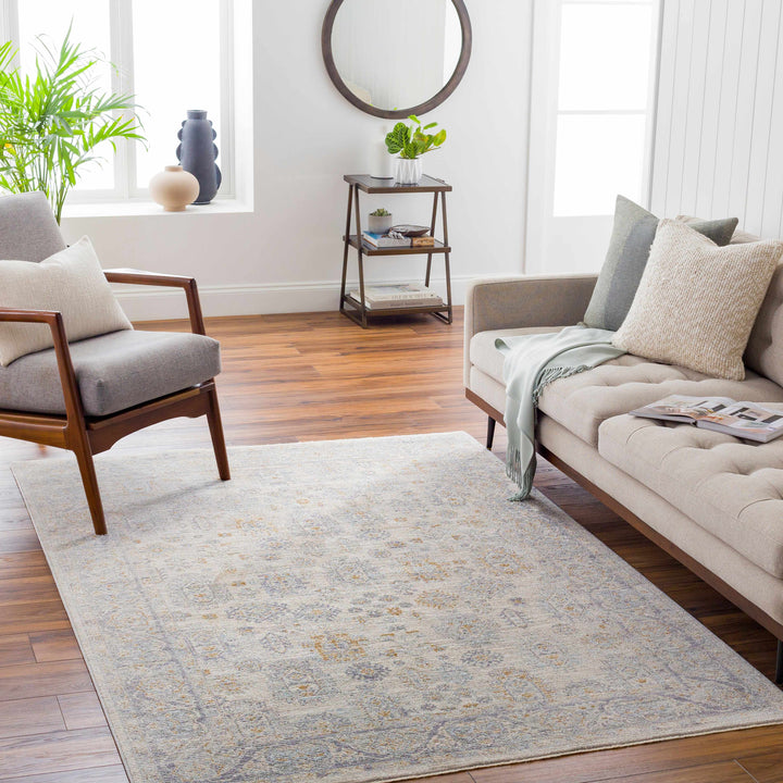 Fawn Traditional Style Beige And Gray Area Rug