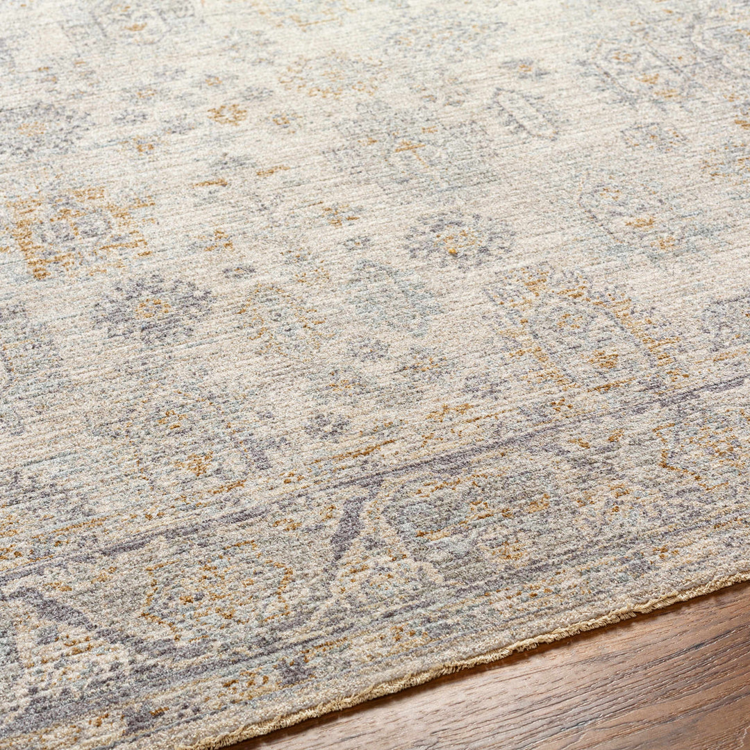 Fawn Traditional Style Beige And Gray Area Rug