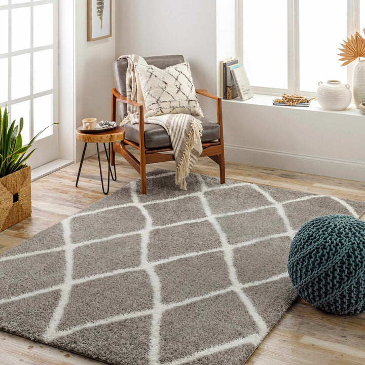 Faye Gray And White Contemporary Style Area Rug - The Rug Decor
