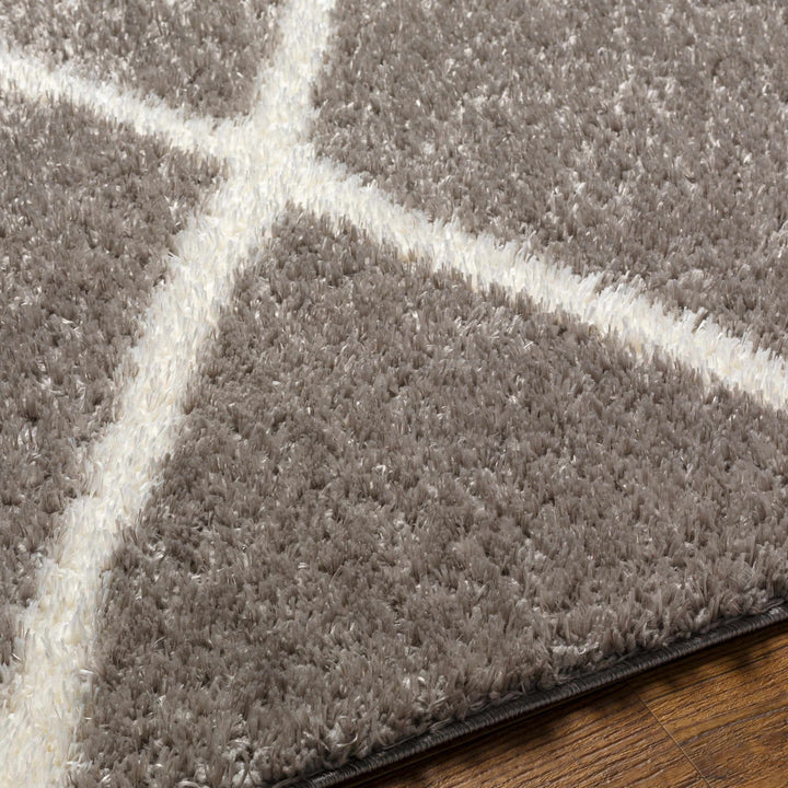 Faye Gray And White Contemporary Style Area Rug - The Rug Decor