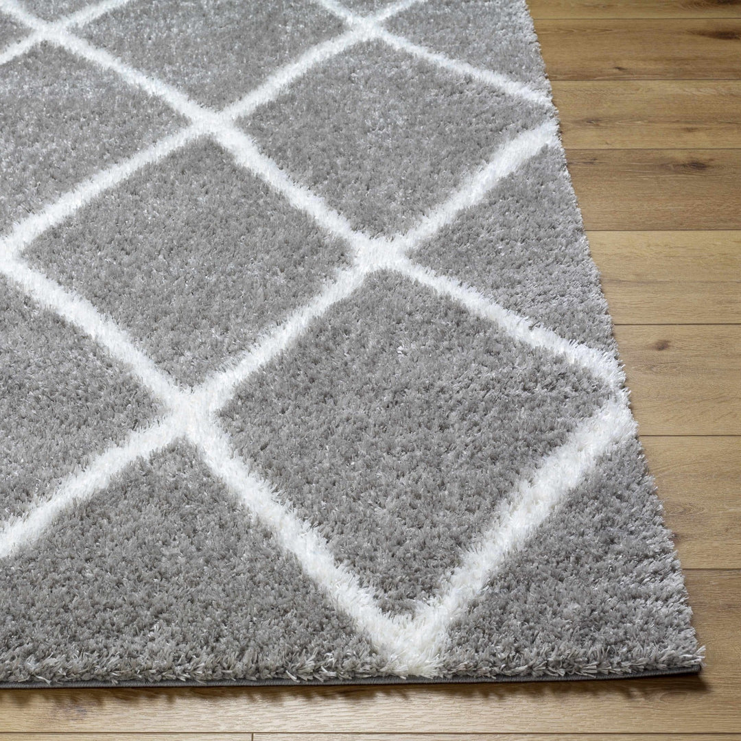 Faye Gray And White Contemporary Style Area Rug - The Rug Decor