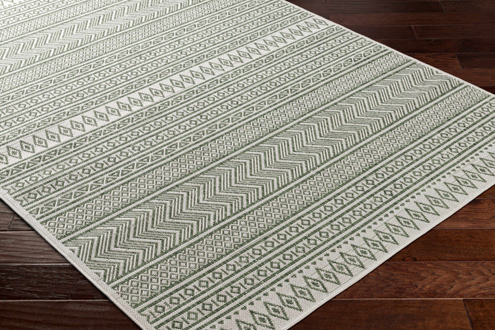 Fenny Modern Style Green And Ivory Outdoor Area Rug