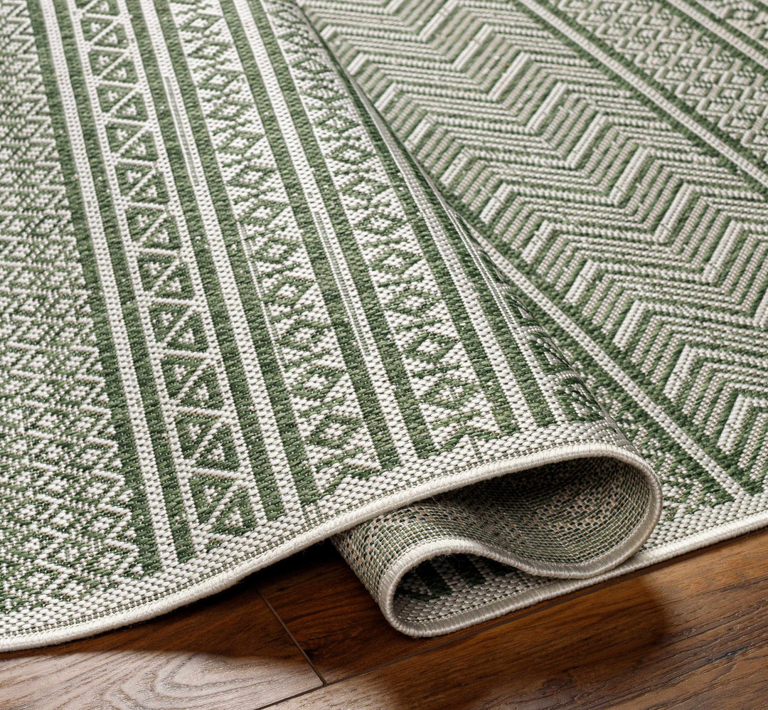 Fenny Modern Style Green And Ivory Outdoor Area Rug