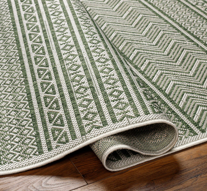 Fenny Modern Style Green And Ivory Outdoor Area Rug