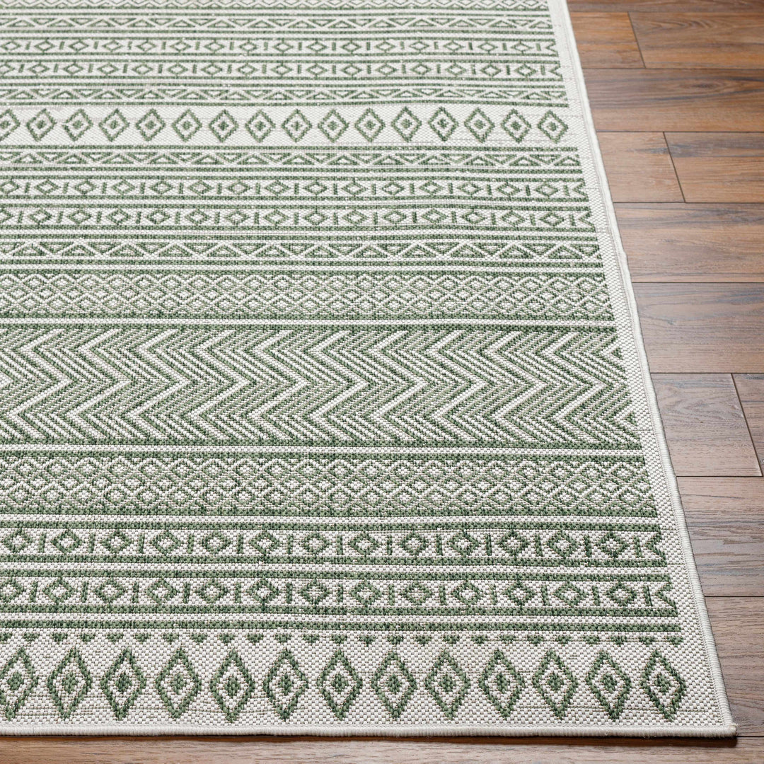 Fenny Modern Style Green And Ivory Outdoor Area Rug