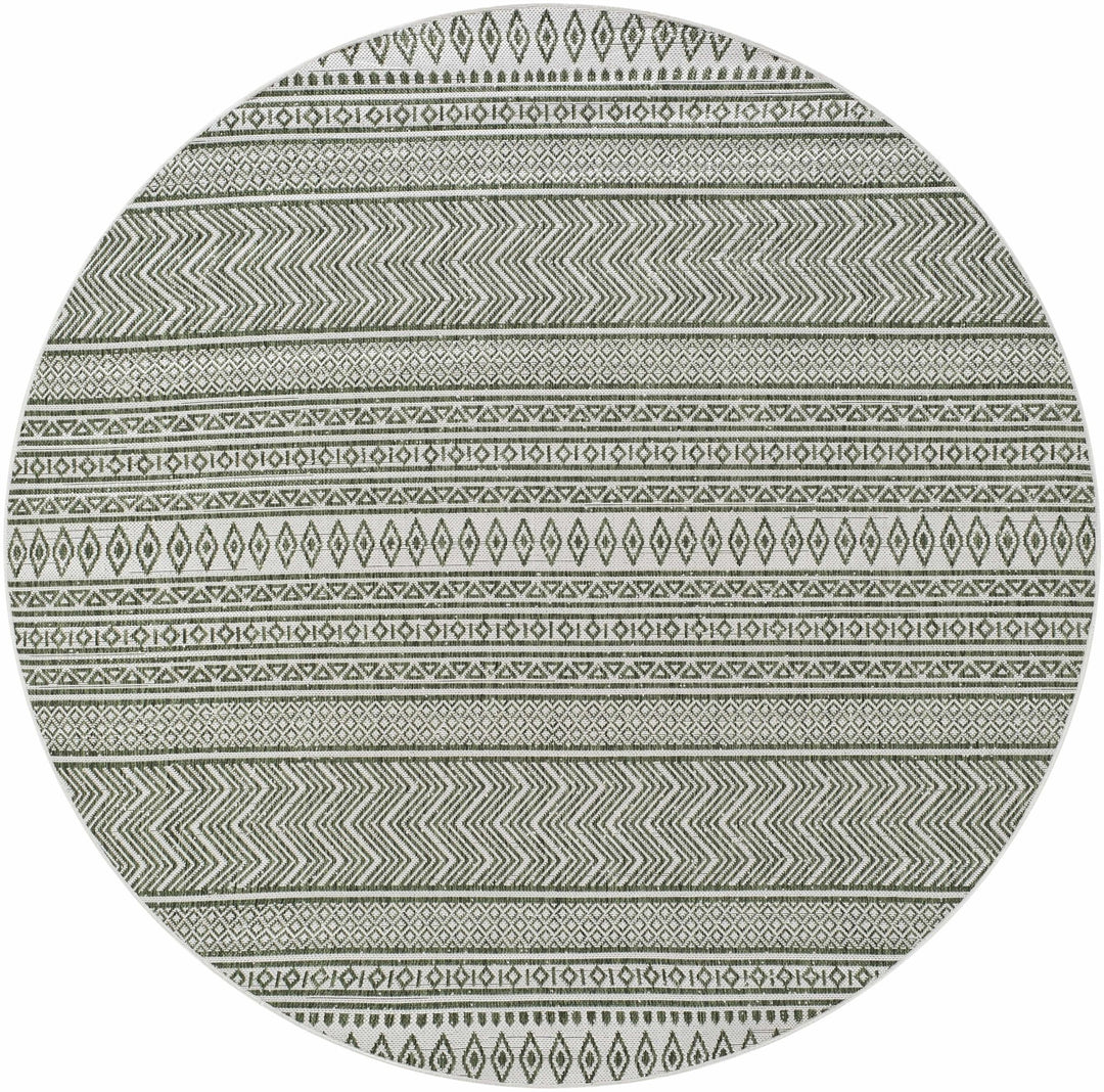 Fenny Modern Style Green And Ivory Outdoor Area Rug - The Rug Decor