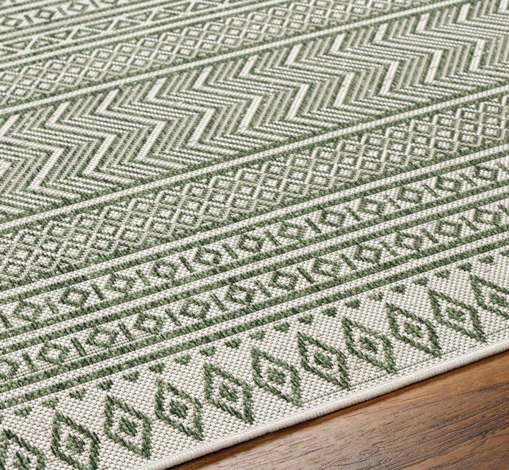 Fenny Modern Style Green And Ivory Outdoor Area Rug
