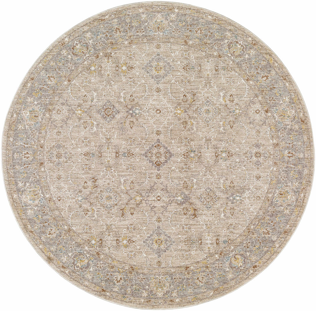 Feray Traditional Style Beige And Gray Area Rug