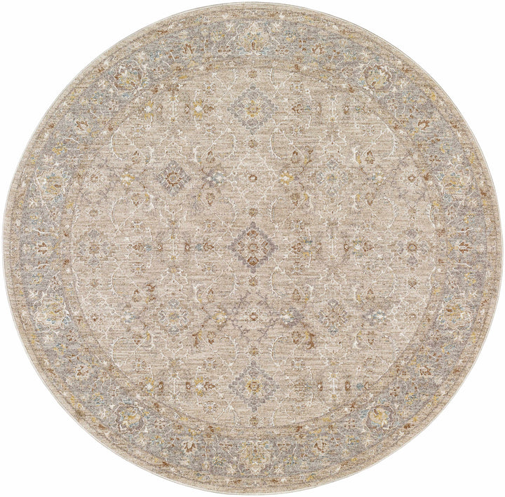 Feray Traditional Style Beige And Gray Area Rug