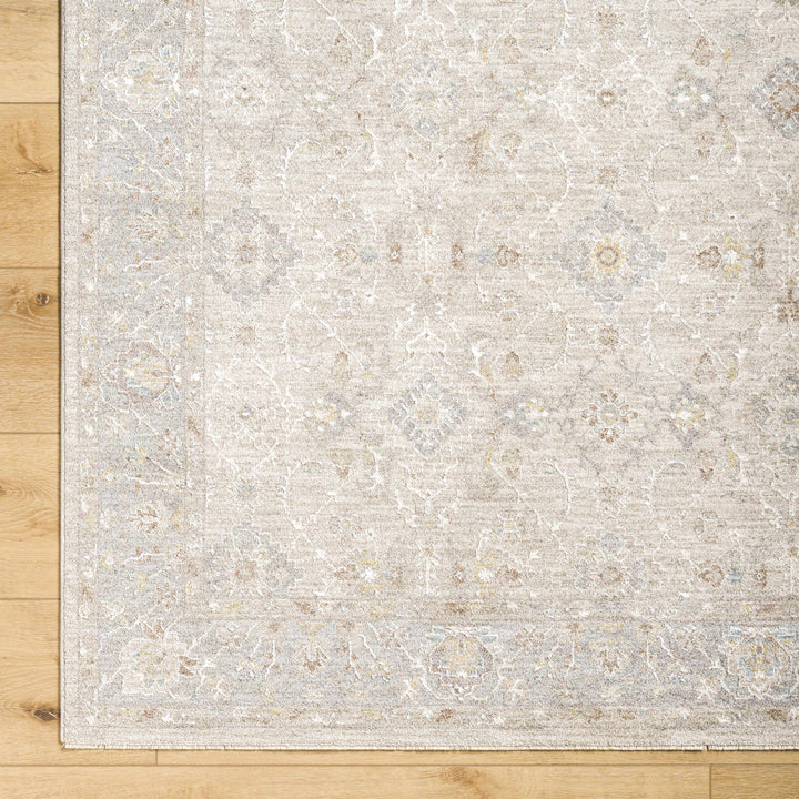 Feray Traditional Style Beige And Gray Area Rug