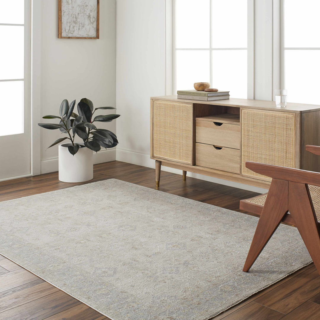 Feray Traditional Style Beige And Gray Area Rug