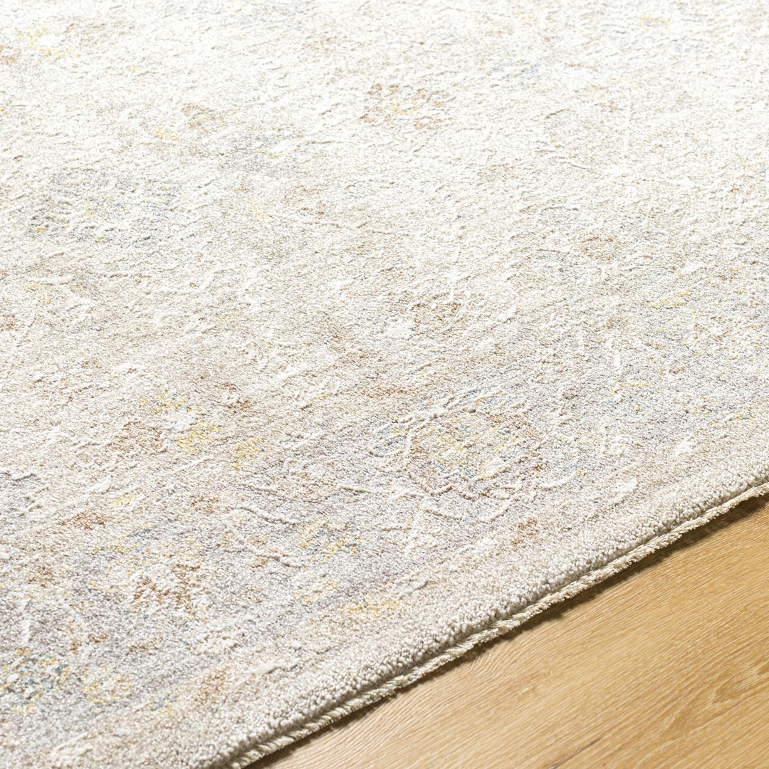 Feray Traditional Style Beige And Gray Area Rug