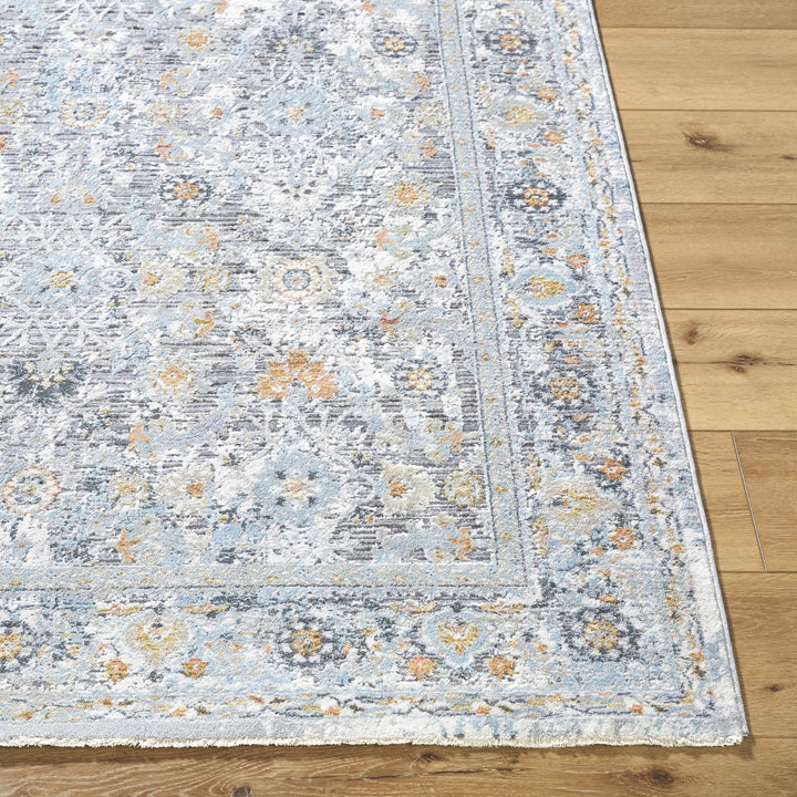 Finn Traditional Style Silver & Blue Area Rug - The Rug Decor