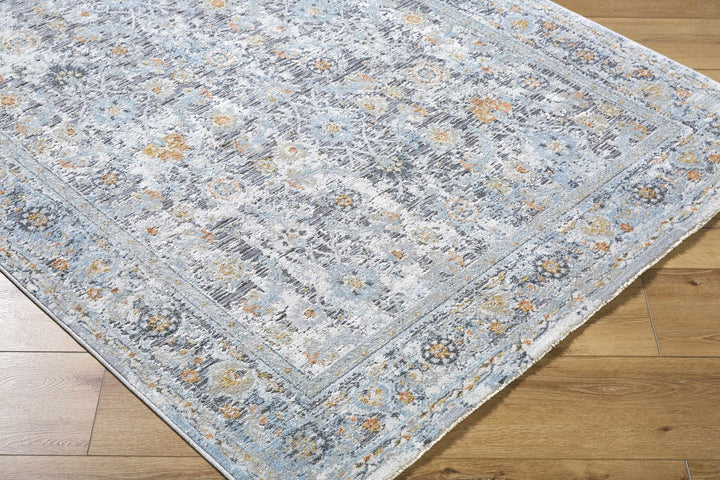 Finn Traditional Style Silver & Blue Area Rug - The Rug Decor