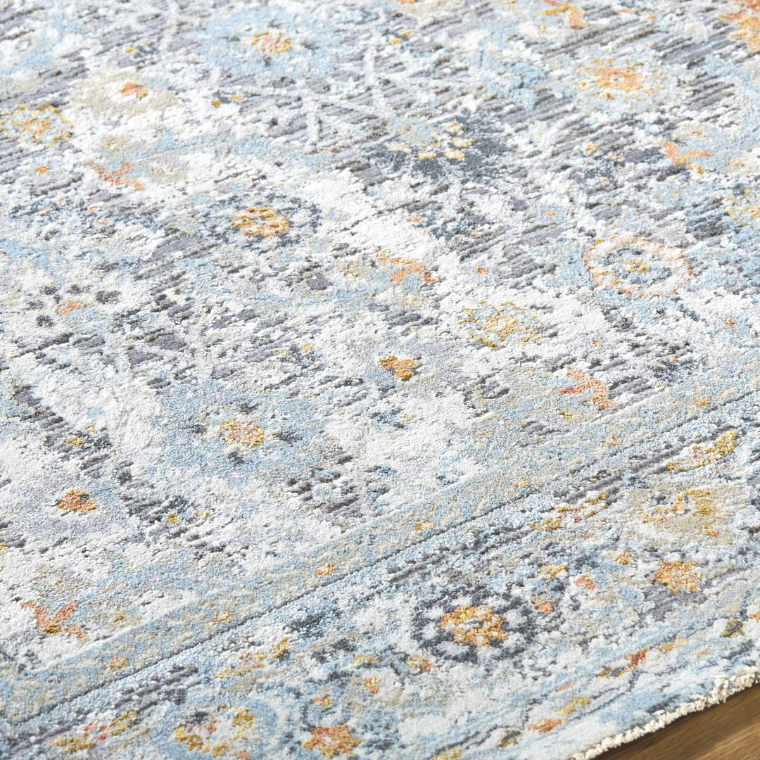 Finn Traditional Style Silver & Blue Area Rug - The Rug Decor