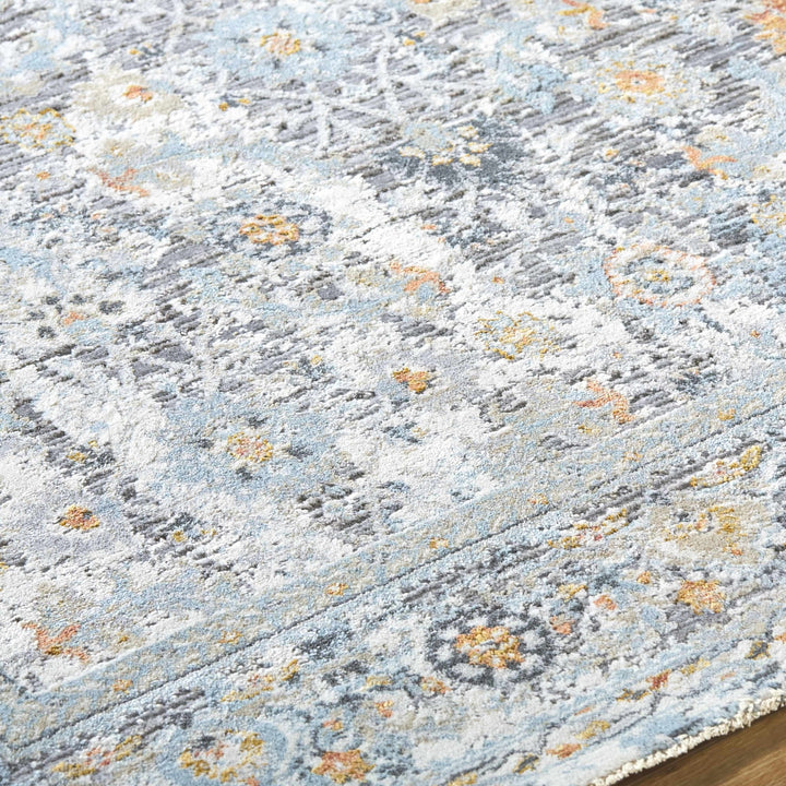 Finn Traditional Style Silver & Blue Area Rug - The Rug Decor