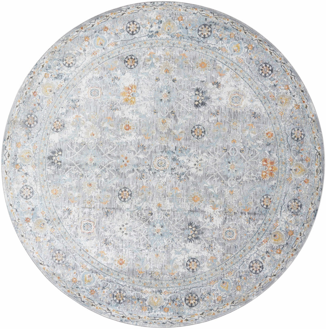 Finn Traditional Style Silver & Blue Area Rug - The Rug Decor