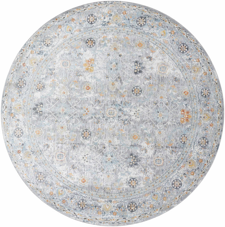 Finn Traditional Style Silver & Blue Area Rug - The Rug Decor