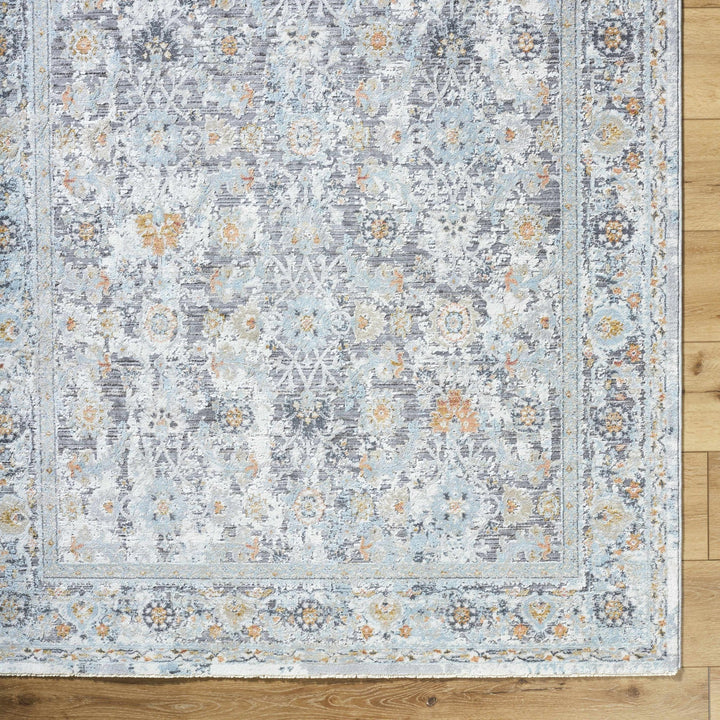 Finn Traditional Style Silver & Blue Area Rug - The Rug Decor