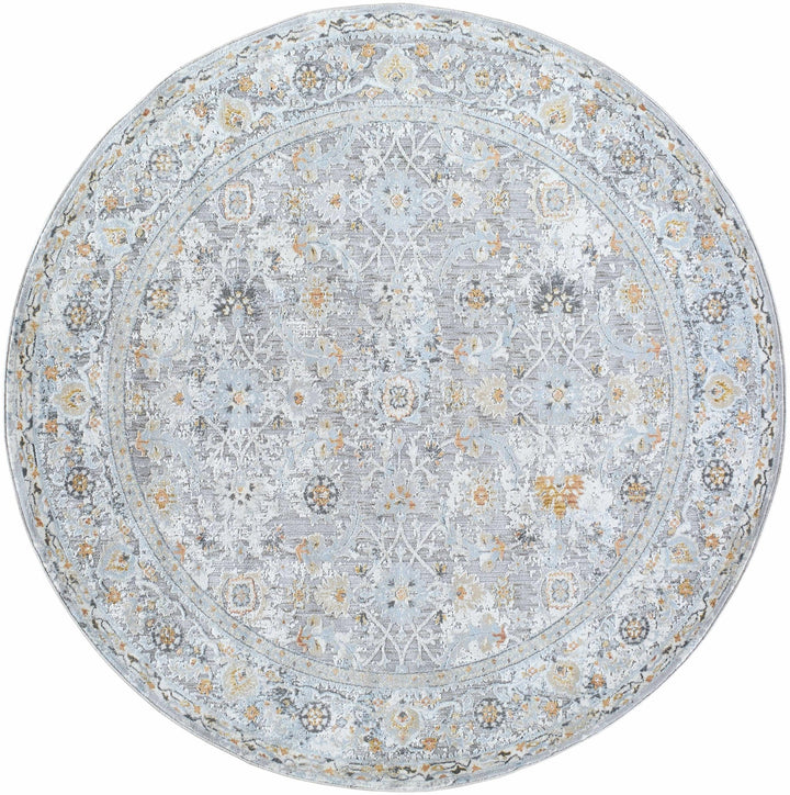 Finn Traditional Style Silver & Blue Area Rug - The Rug Decor