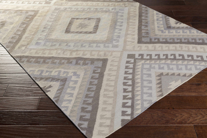 Fischer Contemporary Style Taupe And Beige Hand Woven Area Rug