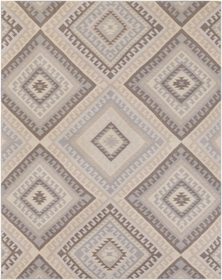 Fischer Contemporary Style Taupe And Beige Hand Woven Area Rug