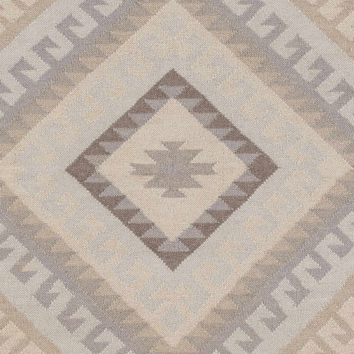 Fischer Contemporary Style Taupe And Beige Hand Woven Area Rug
