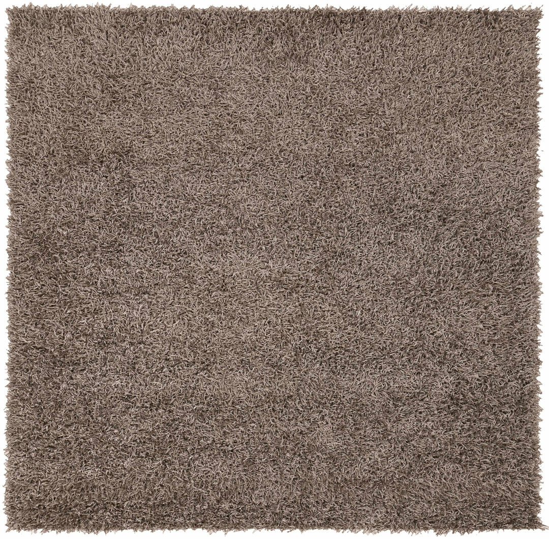 Fleischmanns Brown Contemporary Style Hand Woven Area Rug - The Rug Decor