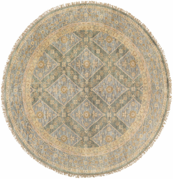 Fogelsville Traditional Style Beige And Blue Hand Knotted Area Rug - The Rug Decor