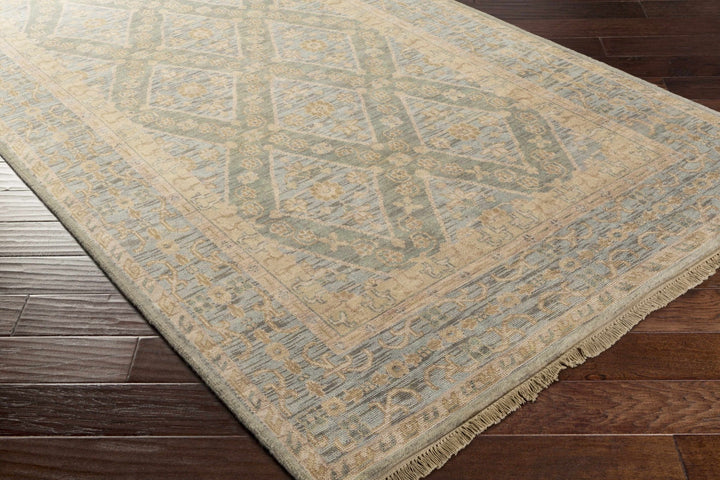 Fogelsville Traditional Style Beige And Blue Hand Knotted Area Rug - The Rug Decor