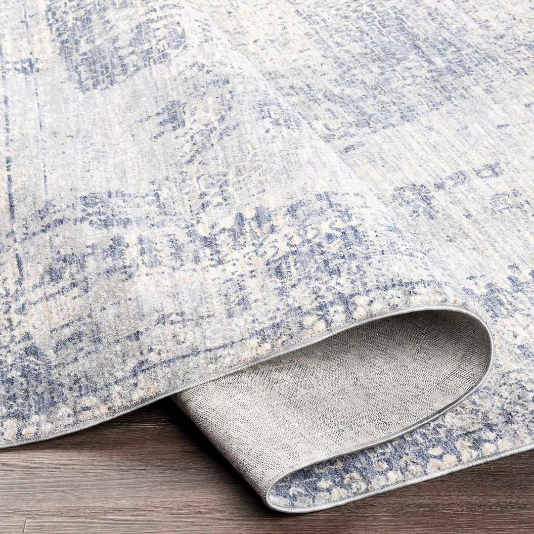 Foley Traditional Style Blue And Gray Area Rug