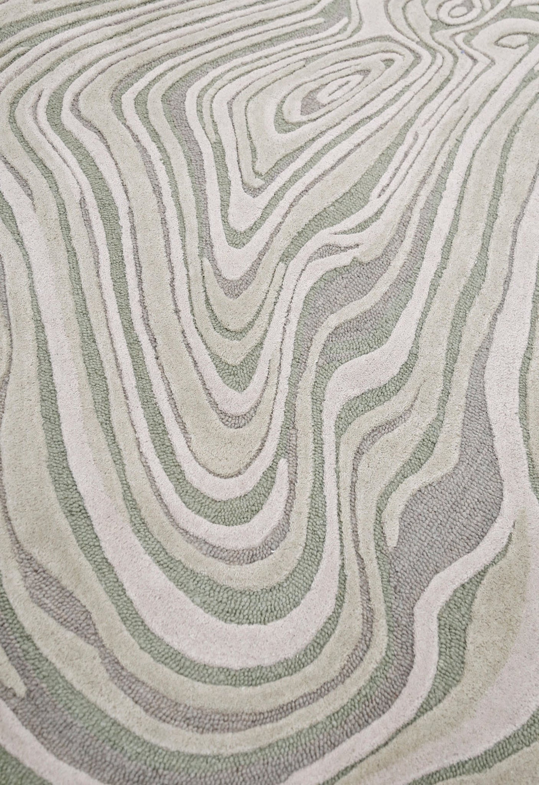 Fossil Modern Style Ivory Hand Tufted 5x7 Wool Rug - The Rug Decor