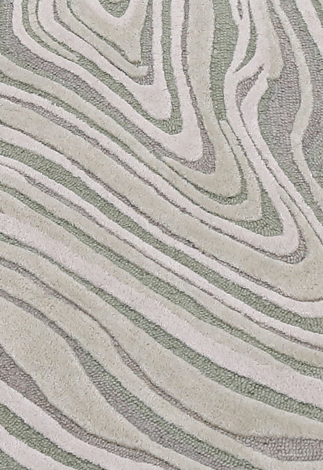 Fossil Modern Style Ivory Hand Tufted 5x7 Wool Rug - The Rug Decor