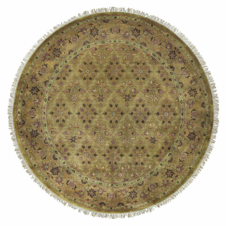 Fordsville Traditional Style Olive Hand Knotted Area Rug
