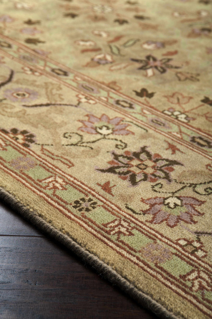 Fordsville Traditional Style Olive Hand Knotted Area Rug