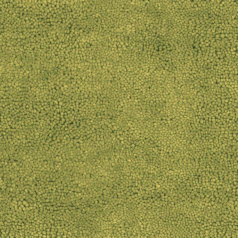 Frederika Modern Solid Olive Wool Shag Rug - The Rug Decor