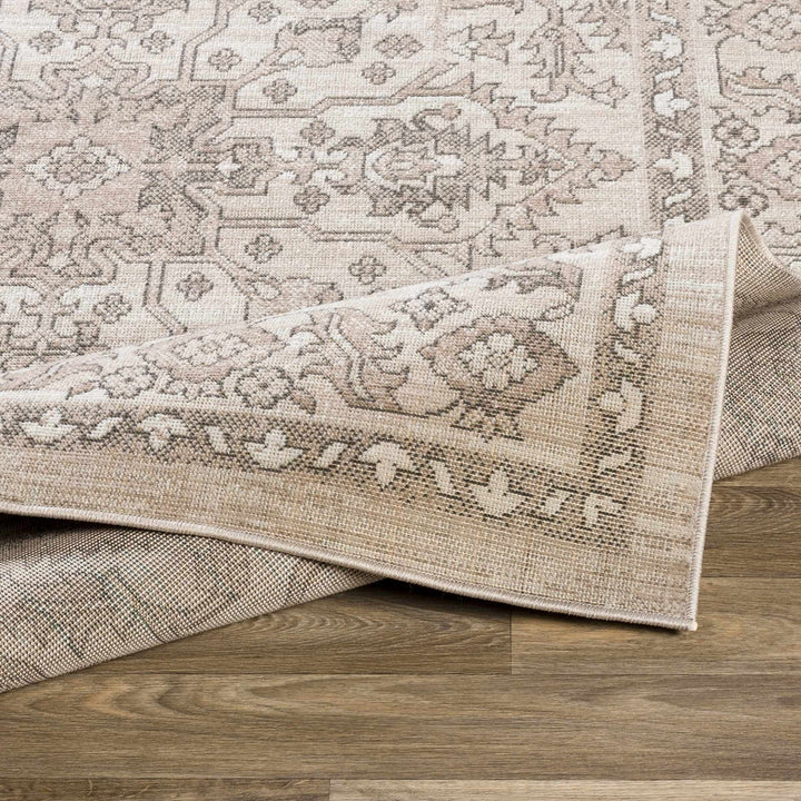 Frenchburg Traditional Style Beige Area Rug - The Rug Decor