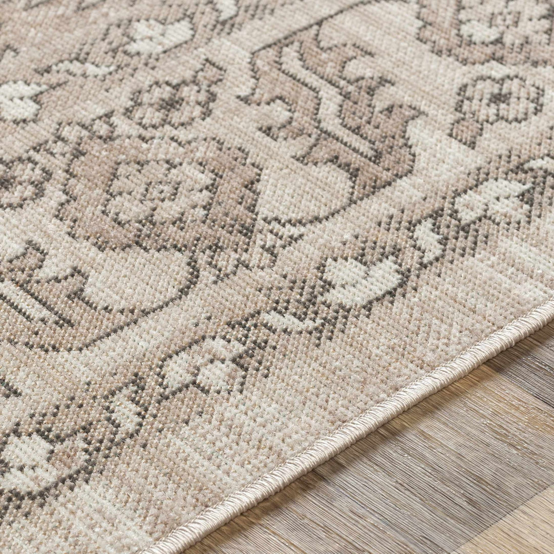 Frenchburg Traditional Style Beige Area Rug - The Rug Decor