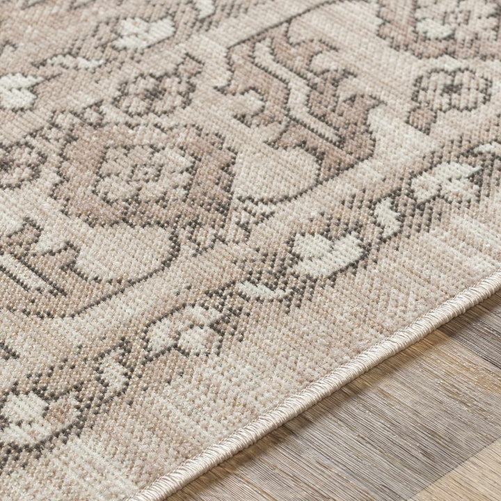 Frenchburg Traditional Style Beige Area Rug - The Rug Decor