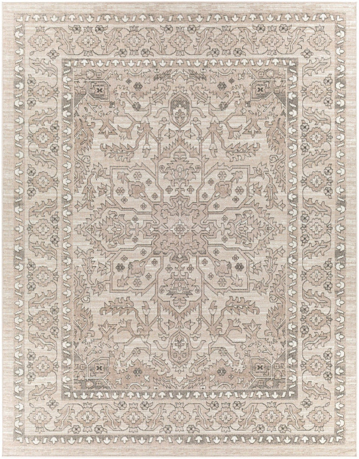 Frenchburg Traditional Style Beige Area Rug - The Rug Decor