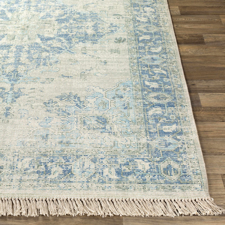 Fairlands Traditional Style Ivory And Blue Hand Woven Area Rug