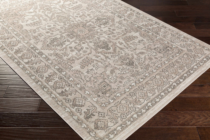Frenchburg Traditional Style Beige Area Rug