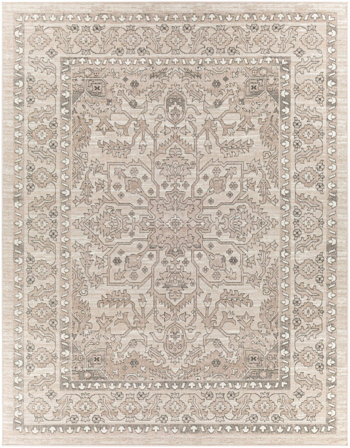 Frenchburg Traditional Style Beige Area Rug